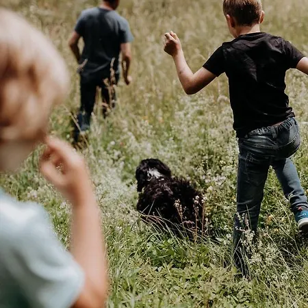 Der Löffler Am Semmering