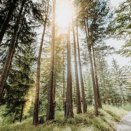 Der Löffler Am Gæstehus