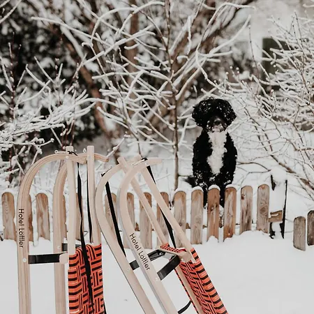 ゲストハウス Der Loeffler 3ˢ Superior-hotel Am セメリング