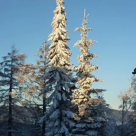 ゲストハウス Der Loeffler 3ˢ Superior-hotel Am