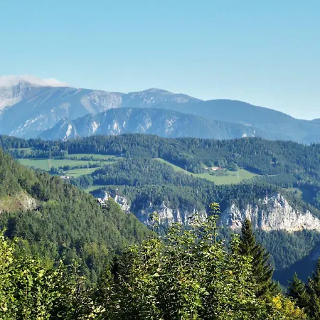 ゲストハウス Der Loeffler 3ˢ Superior-hotel Am 3*