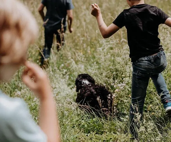 Der Loeffler 3ˢ Superior-hotel Am Semmering