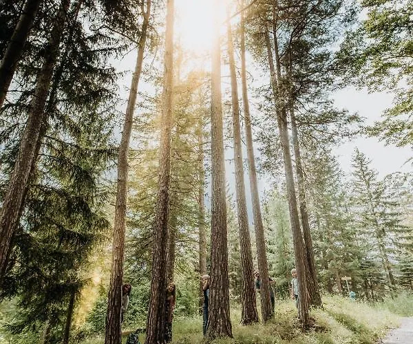 Der Loeffler 3ˢ Superior-hotel Am Gasthuis