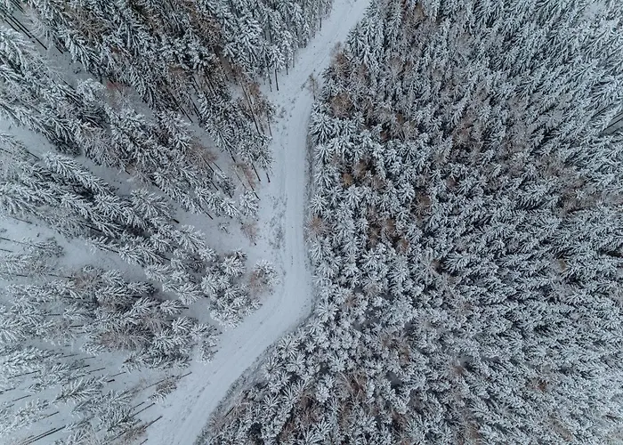 Der Loeffler 3ˢ Superior-hotel Am