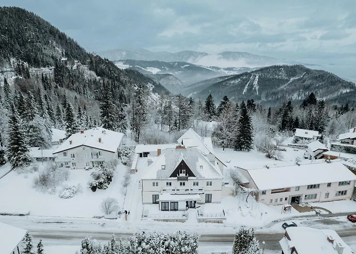 Der Loeffler 3ˢ Superior-hotel Am Guest house