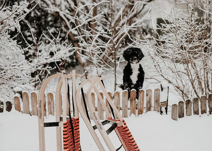 Gasthuis Der Loeffler 3ˢ Superior-hotel Am Semmering