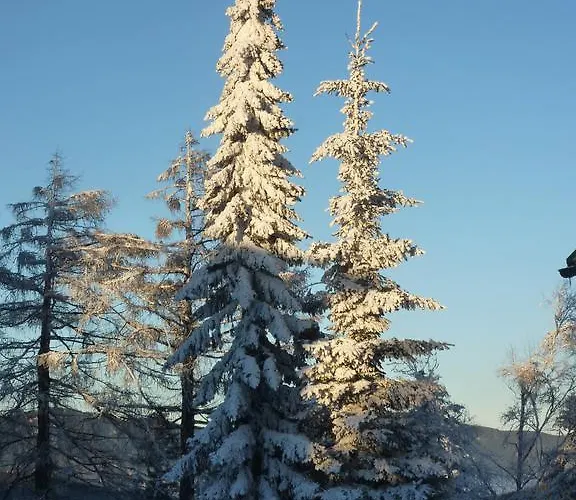 Guest house Der Loeffler 3ˢ Superior-hotel Am