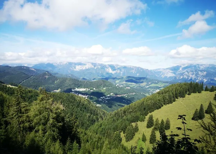 Der Loeffler 3ˢ Superior-hotel Am Semmering